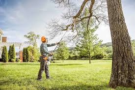 Best Seasonal Cleanup (Spring/Fall)  in Shelley, ID