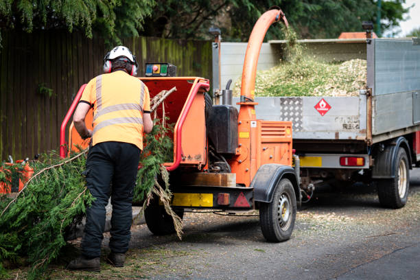 Best Utility Line Clearance  in Shelley, ID