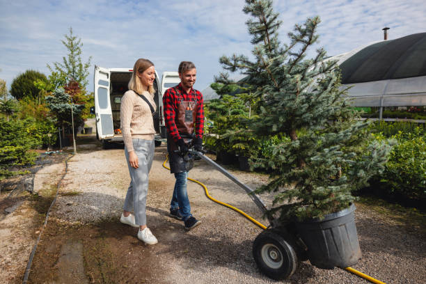 Best Lawn Mowing  in Shelley, ID